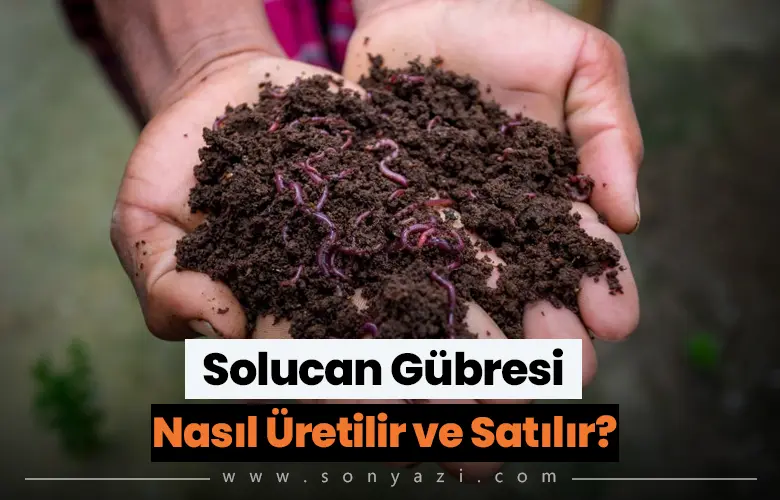 Solucan Gübresi Nasıl Üretilir