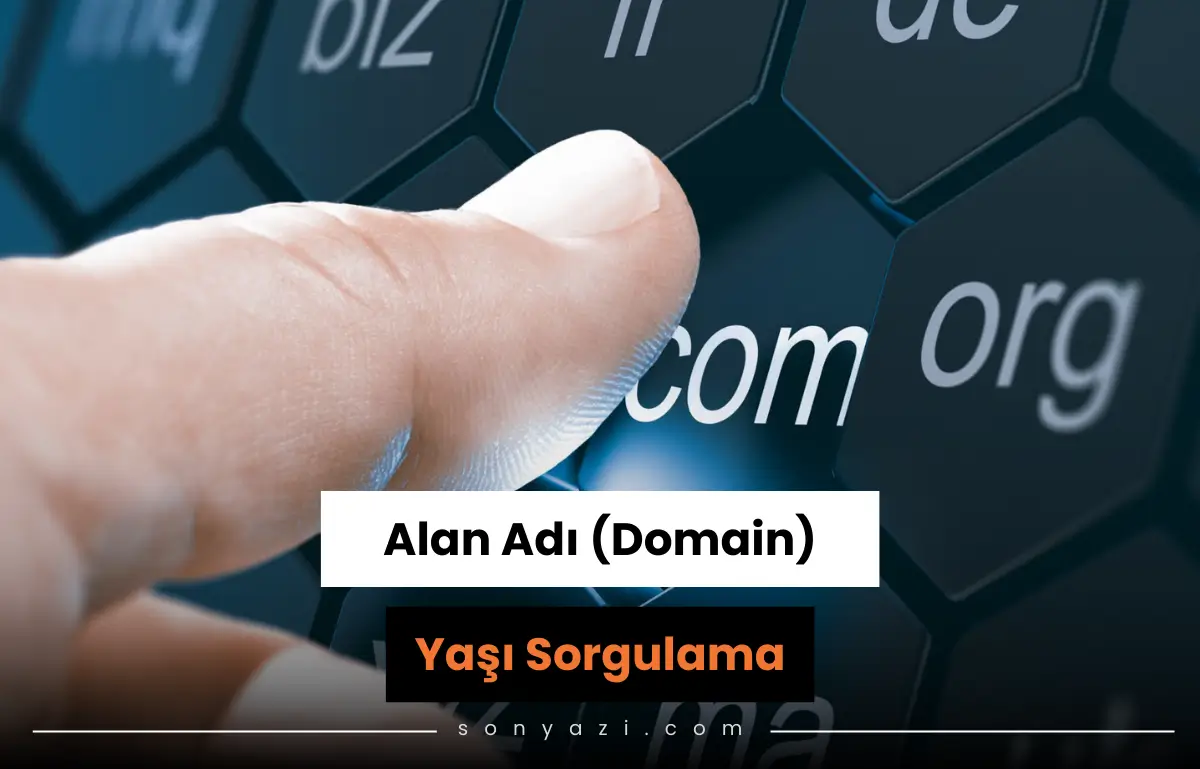 domain yasi sorgulama